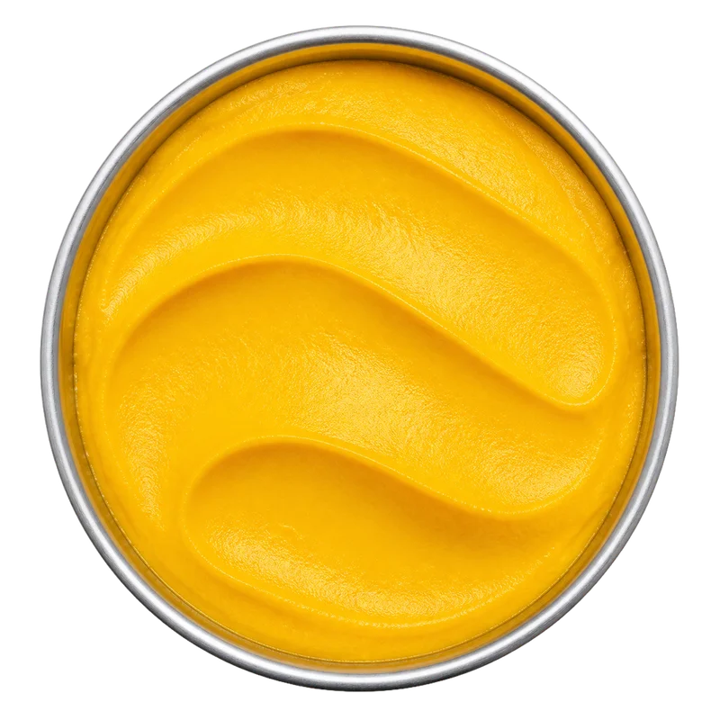 Quick Mango Μάνγκο Sorbet Παγωτό